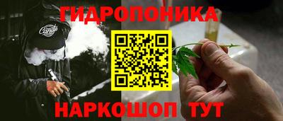 гидропоника Славгород
