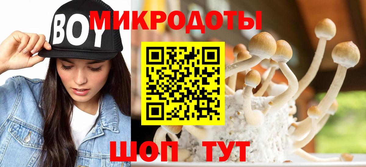 Реутов  Галлюциногенные грибы мухоморы  Вход с VPN  Галлюциногенные грибы Cubensis 